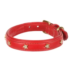 Digby & Fox Star Dog Collar