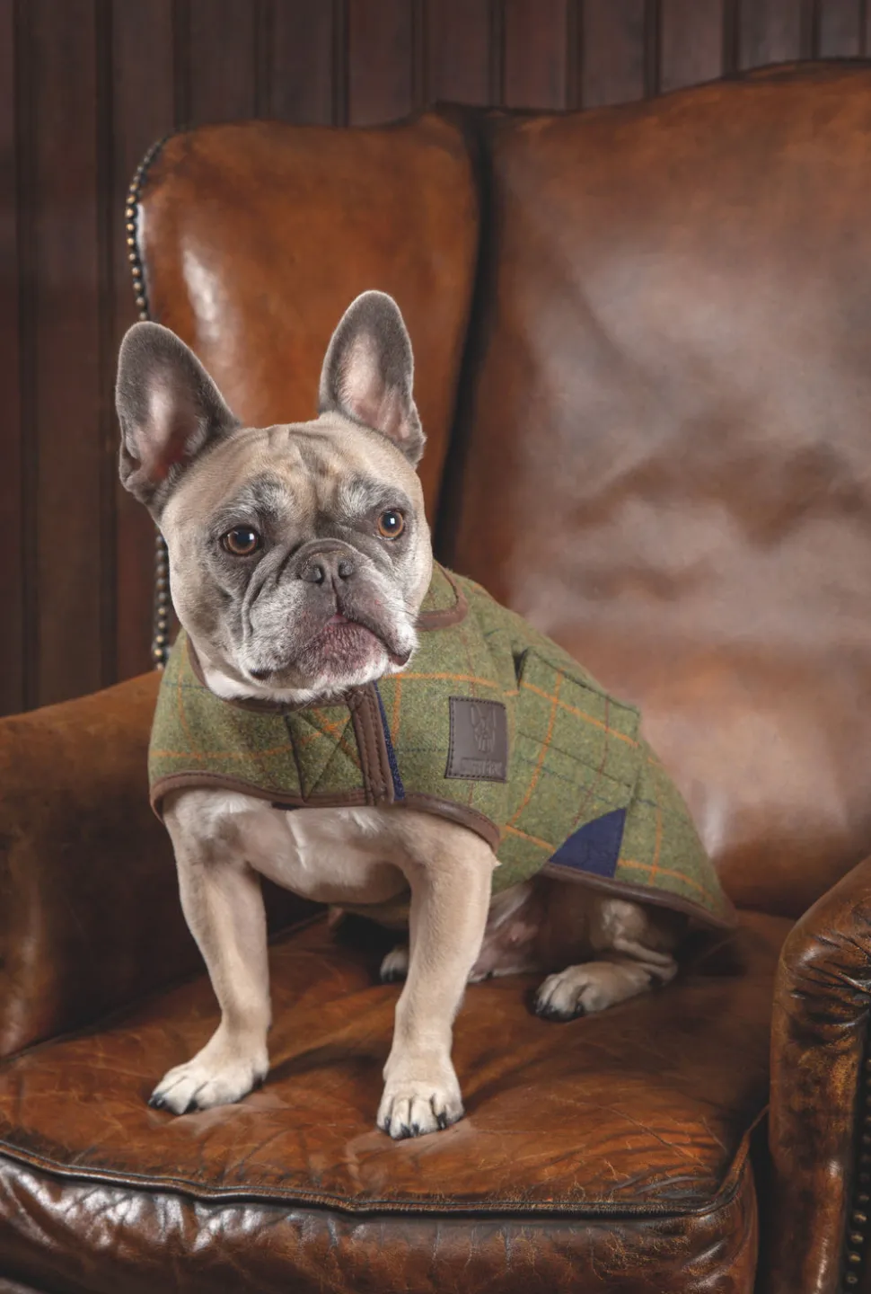 Digby & Fox Tweed Dog Coat