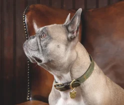 Digby & Fox Tweed Dog Collar