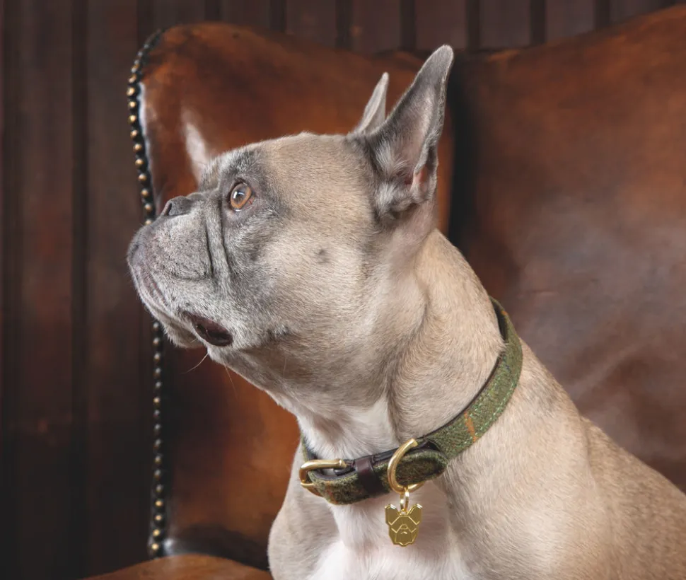 Digby & Fox Tweed Dog Collar