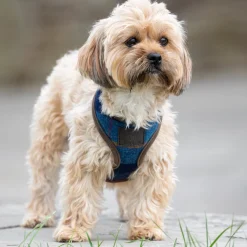 Digby & Fox Tweed Dog Harness