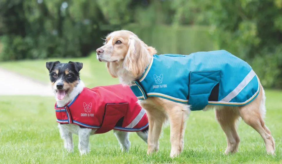 Digby & Fox Waterproof Dog Coat