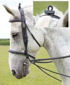 Elastic Training Reins