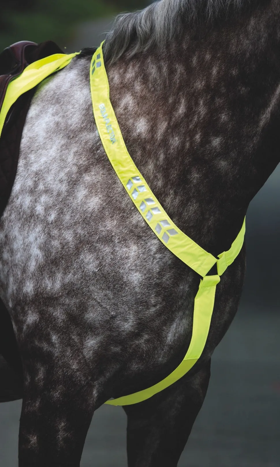 EQUI-FLECTOR® Breastplate