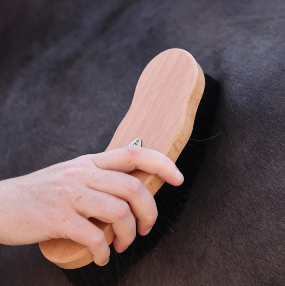 EZI-GROOM Premium Dandy Brush