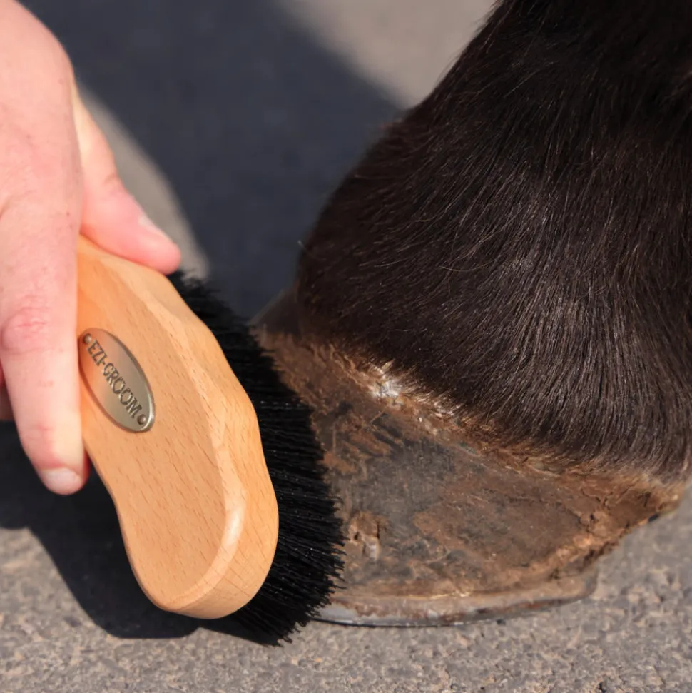 EZI-GROOM Premium Hoof Brush