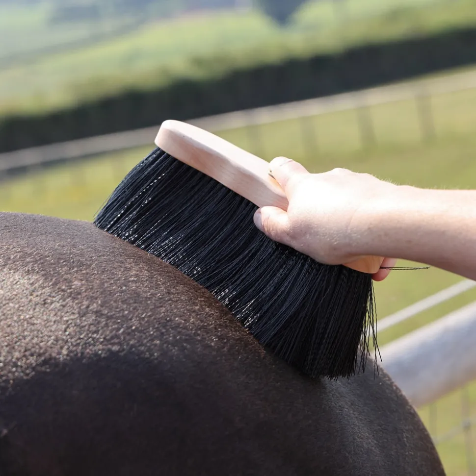 EZI-GROOM Premium Long Dandy Brush