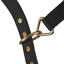 Fleece Lined Lunge Cavesson
