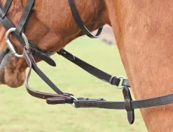 Flexi Rein®