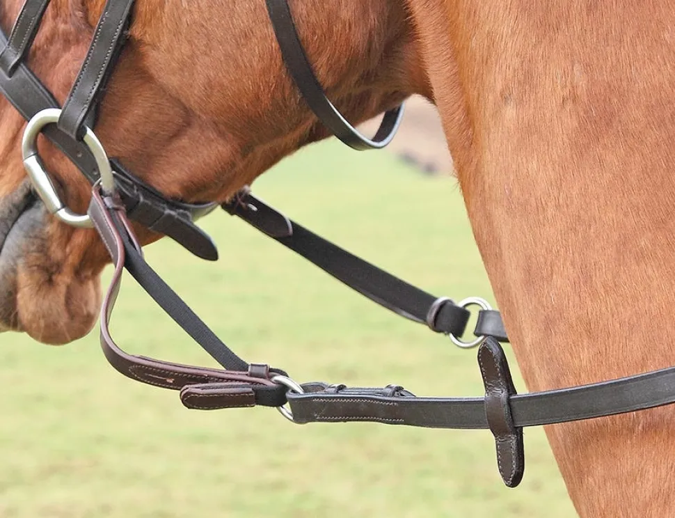 Flexi Rein®