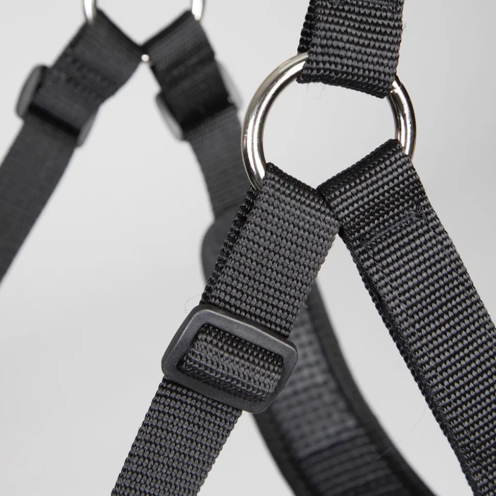 FreeGraze Comfort Grazing Muzzle