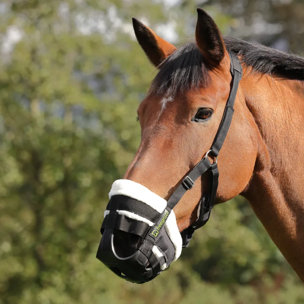 FreeGraze Deluxe Comfort Grazing Muzzle