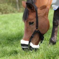 FreeGraze Deluxe Comfort Grazing Muzzle