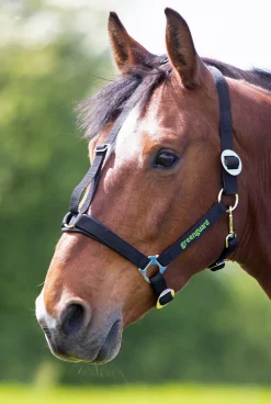Greenguard Headcollar