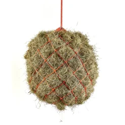 Haynet