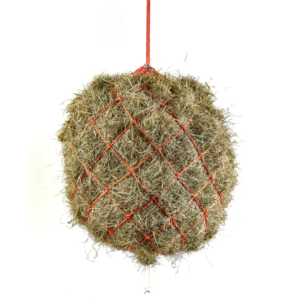 Haynet