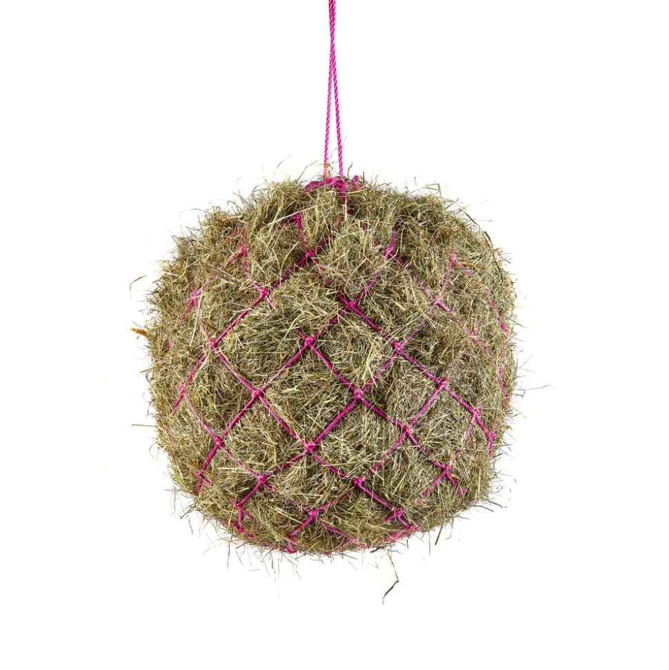 Haynet