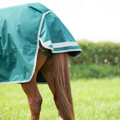 Highlander Original 300 Turnout Rug