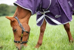 Highlander Original 100 Turnout Rug & Neck Set
