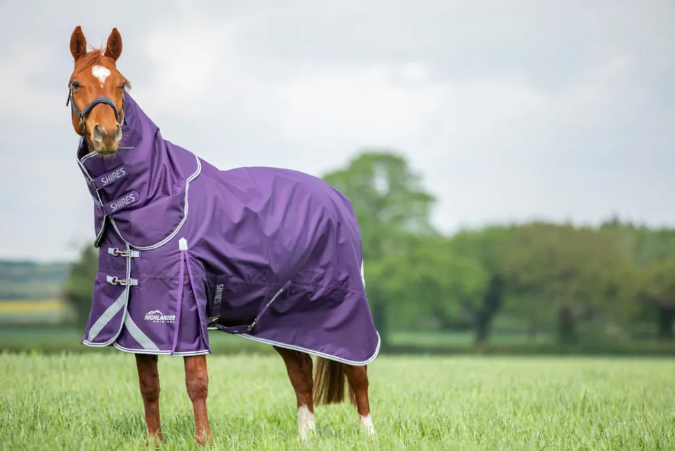 Highlander Original 100 Turnout Rug & Neck Set