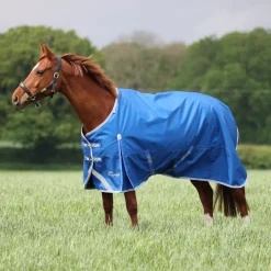 Highlander Original 200 Turnout Rug