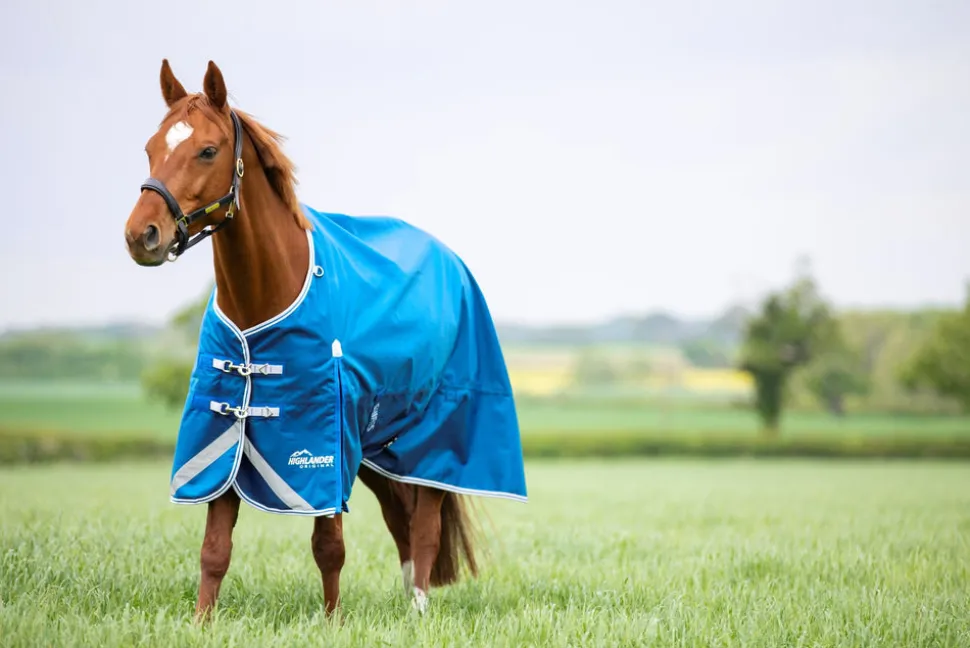 Highlander Original 200 Turnout Rug