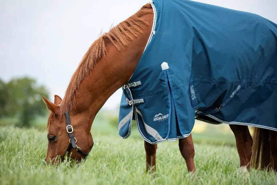 Highlander Original 50 Turnout Rug