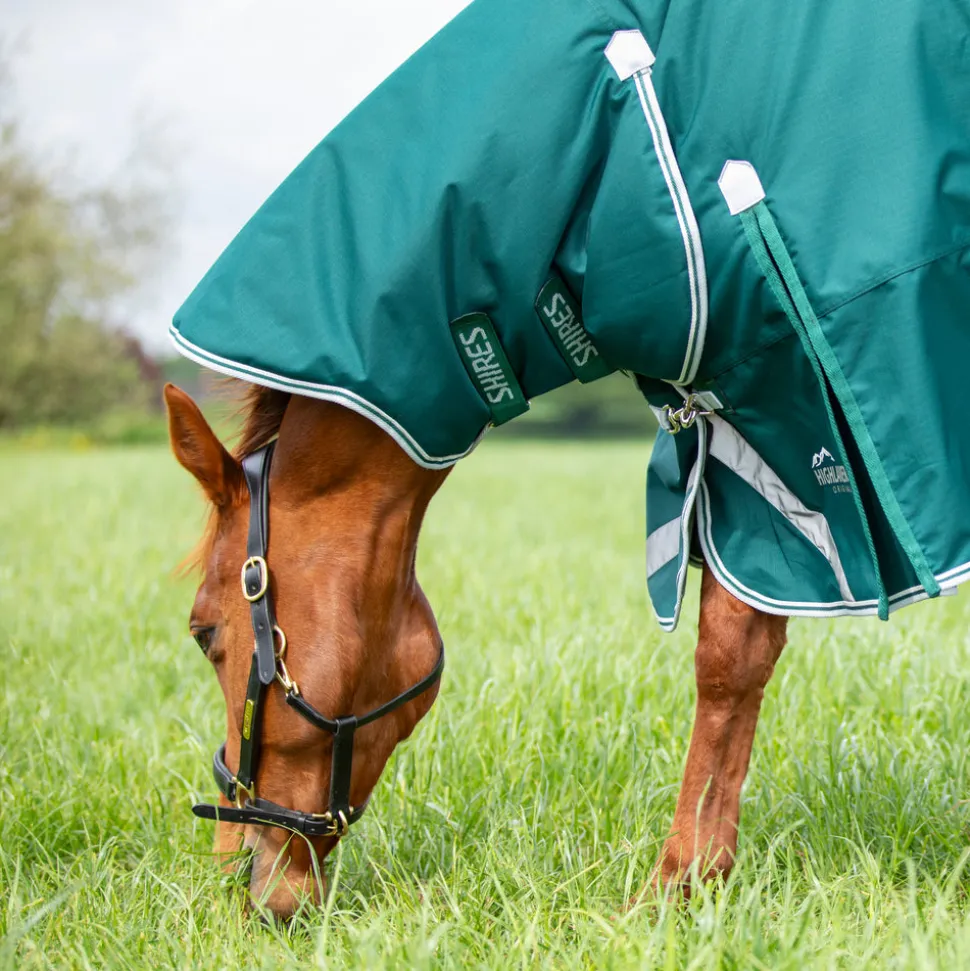 Highlander Original 300 Turnout Combo Rug