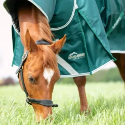 Highlander Original 300 Turnout Rug & Neck Set