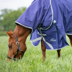 Highlander Original Lite Turnout Rug & Neck Set