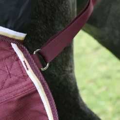 Highlander Plus 100 Combo Turnout Rug