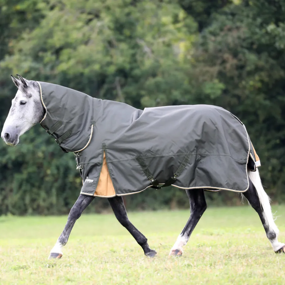 Highlander Plus 50 Combo Turnout Rug