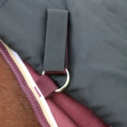 Highlander Plus 100 Turnout Rug Neck Cover