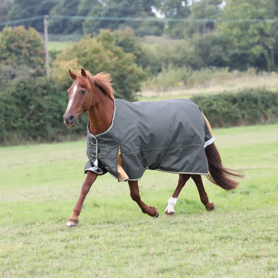 Highlander Plus 50 Turnout Rug