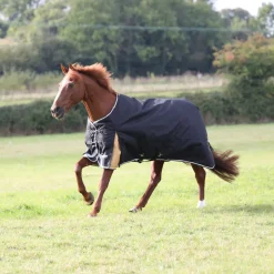 Highlander Plus 200 Turnout Rug