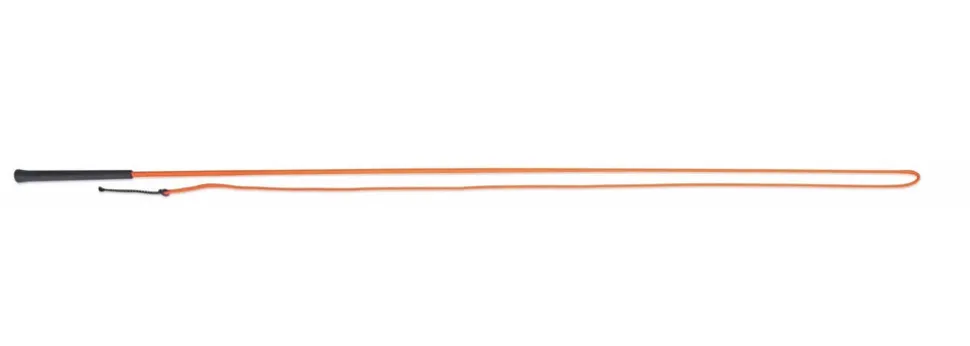 Lunging Whip