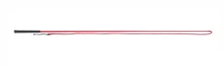 Lunging Whip