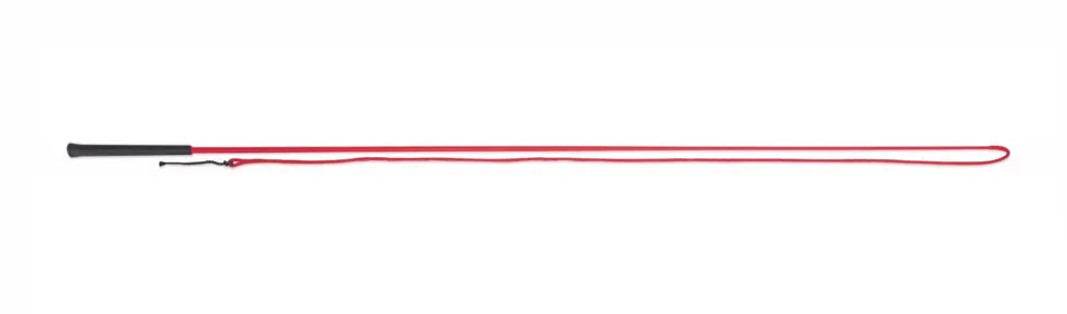 Lunging Whip