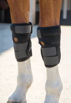Replacement Ice Pack for 2005