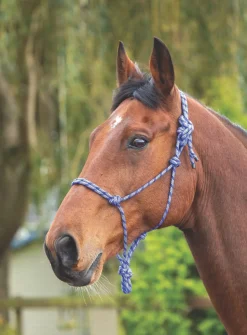 Rope Control Headcollar