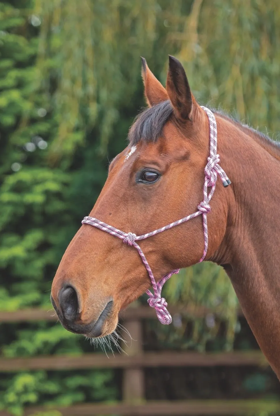 Rope Control Headcollar