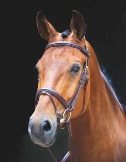Salisbury Bodenham Bridle