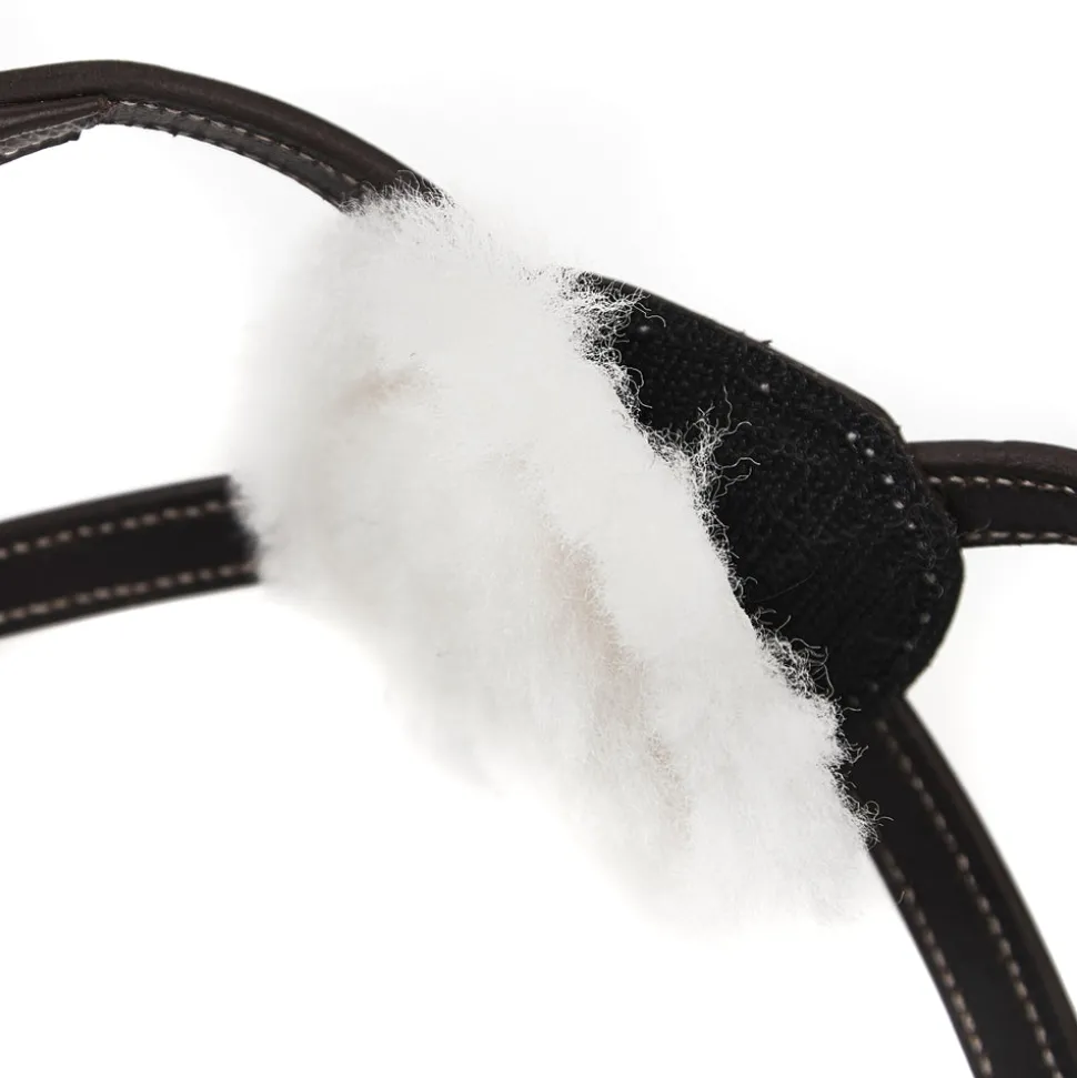 Salisbury Brackley Noseband
