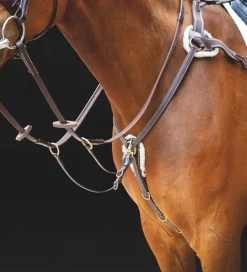 Salisbury Five Point Breastplate