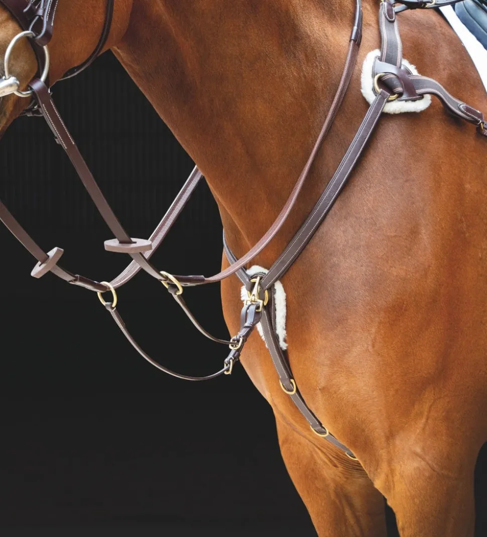 Salisbury Five Point Breastplate