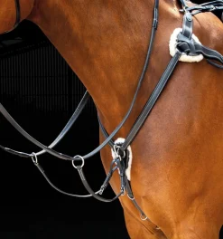 Salisbury Five Point Breastplate