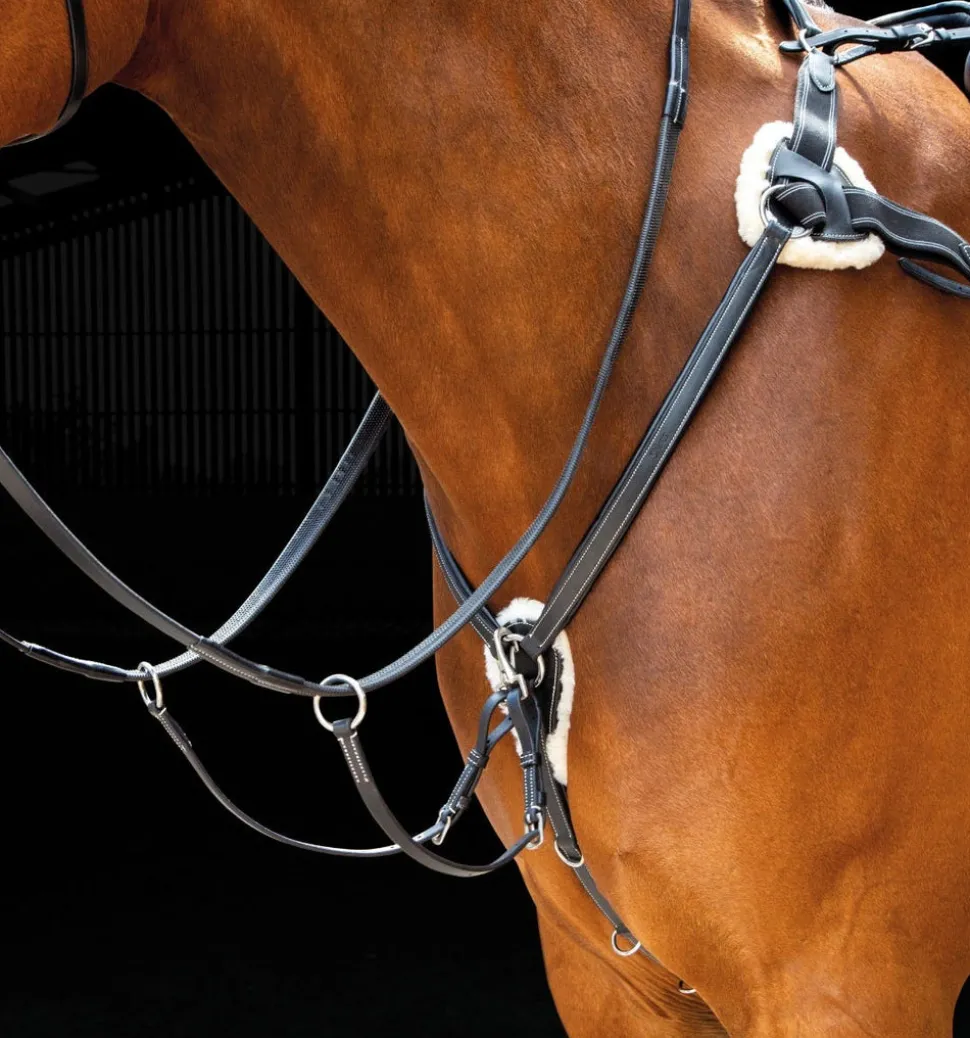 Salisbury Five Point Breastplate