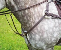 Salisbury Five Point Breastplate