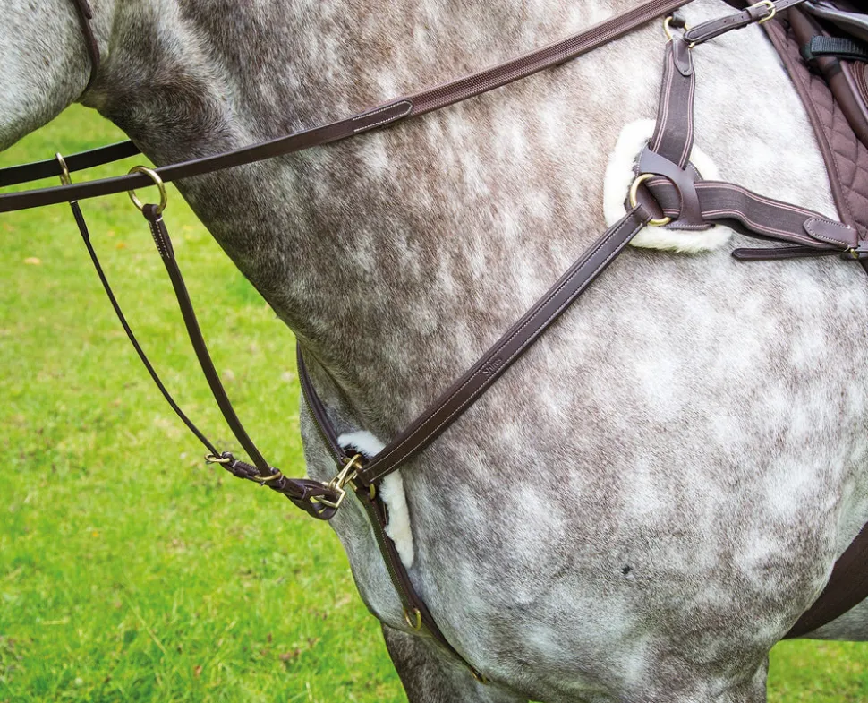 Salisbury Five Point Breastplate