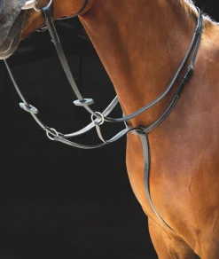 Salisbury Running Martingale